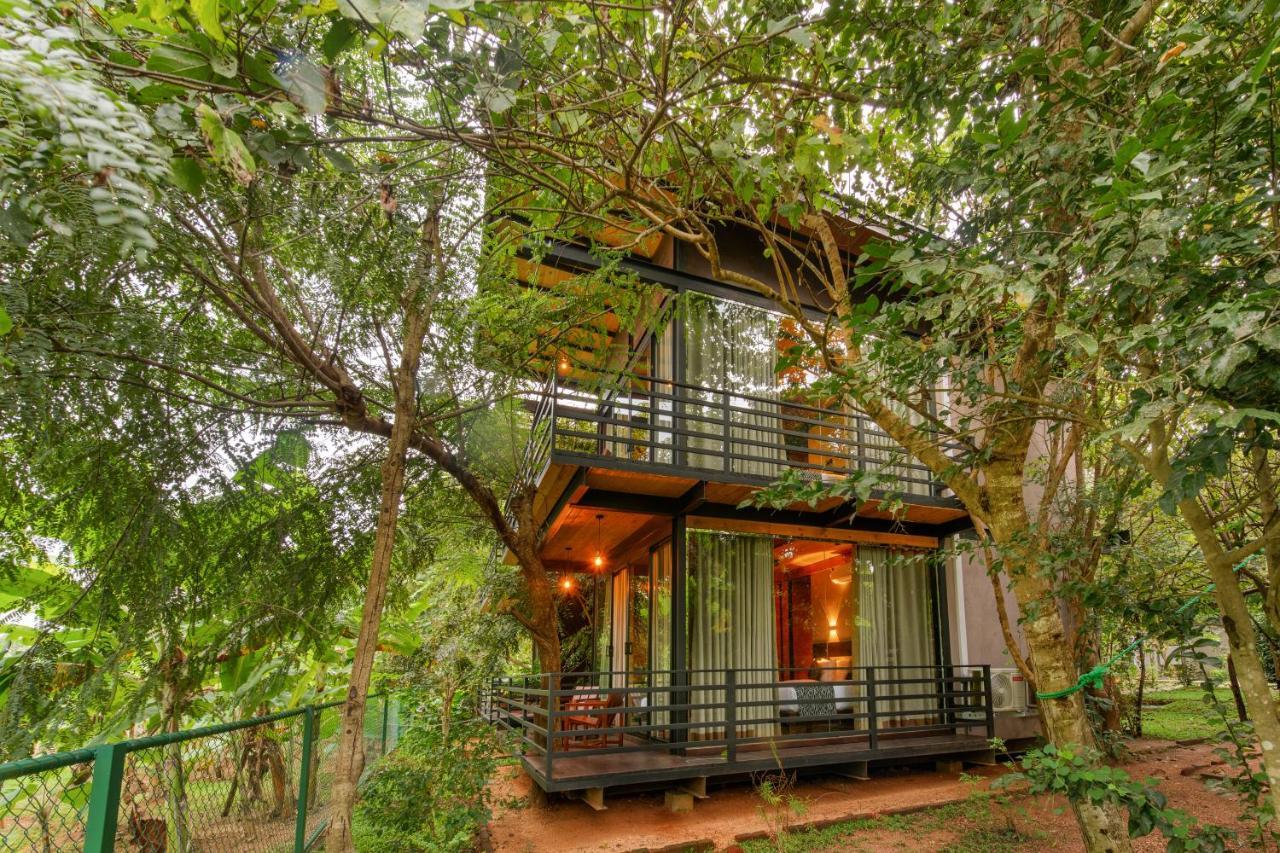 Atha Resort Sigiriya Exteriör bild A tree house at the resort