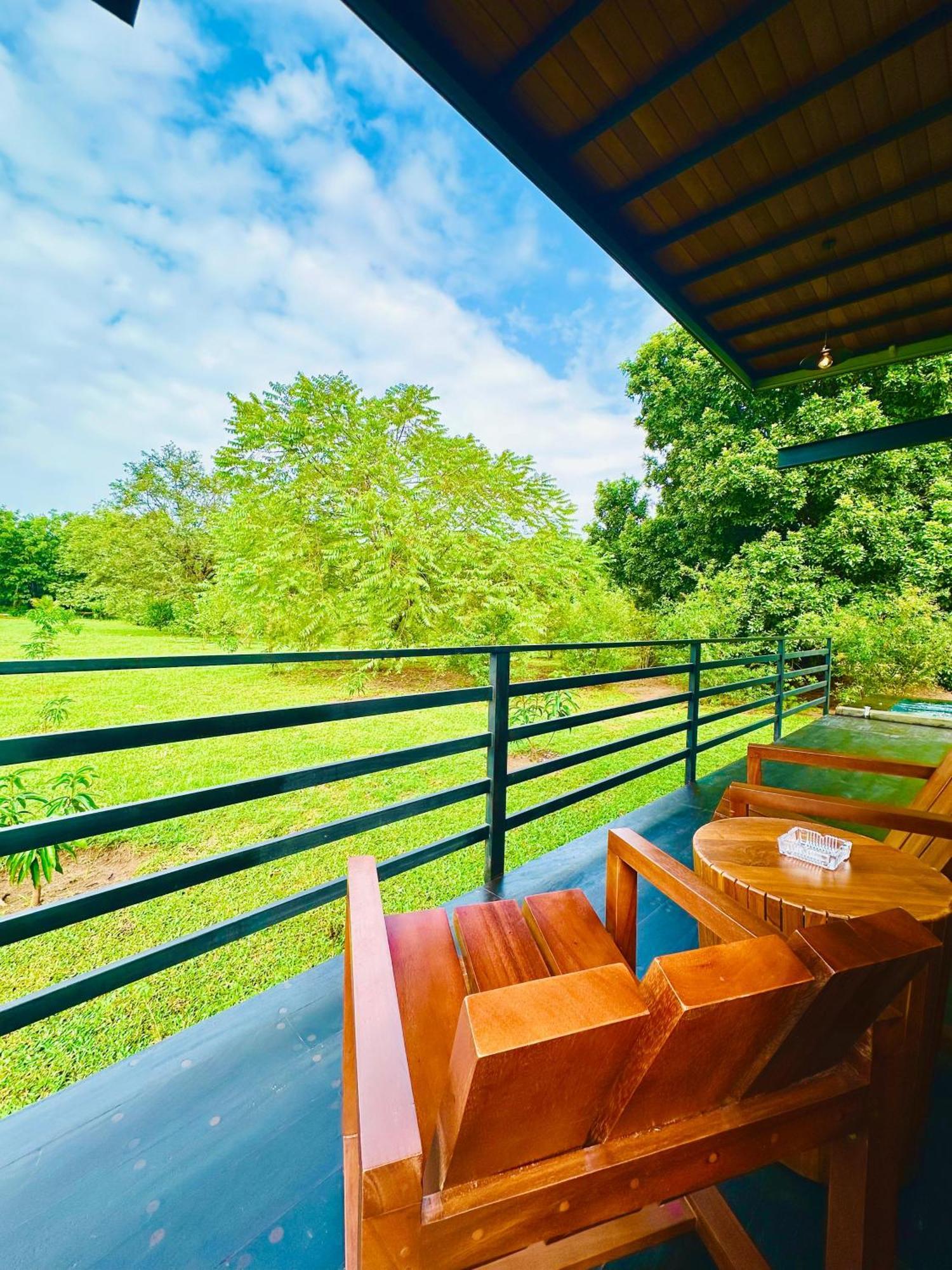 Atha Resort Sigiriya Exteriör bild The view from the balcony of the hotel