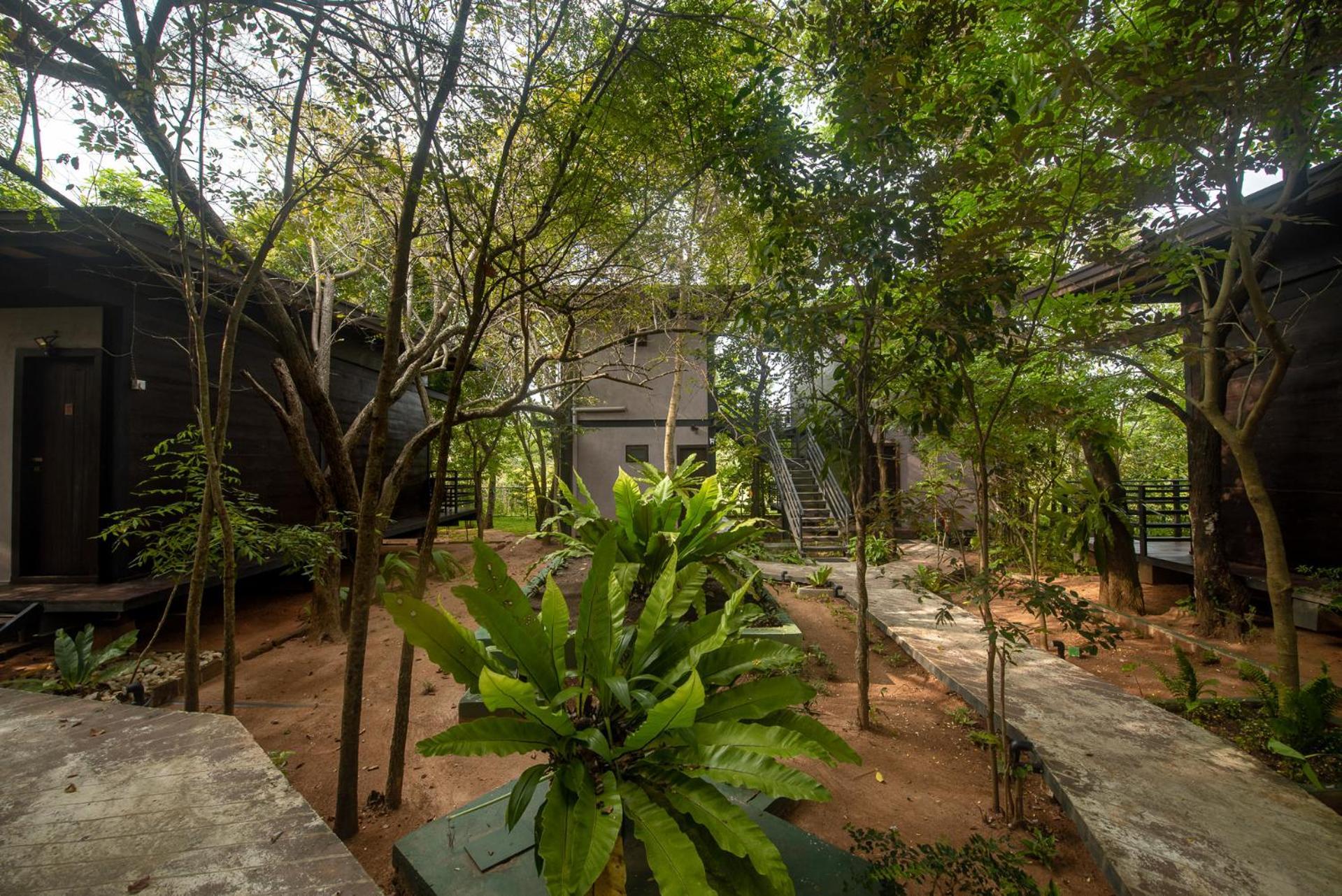 Atha Resort Sigiriya Exteriör bild