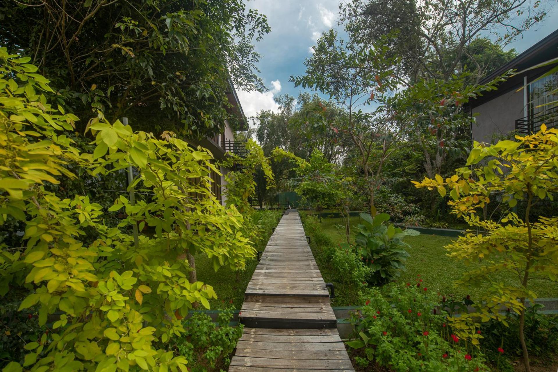 Atha Resort Sigiriya Exteriör bild