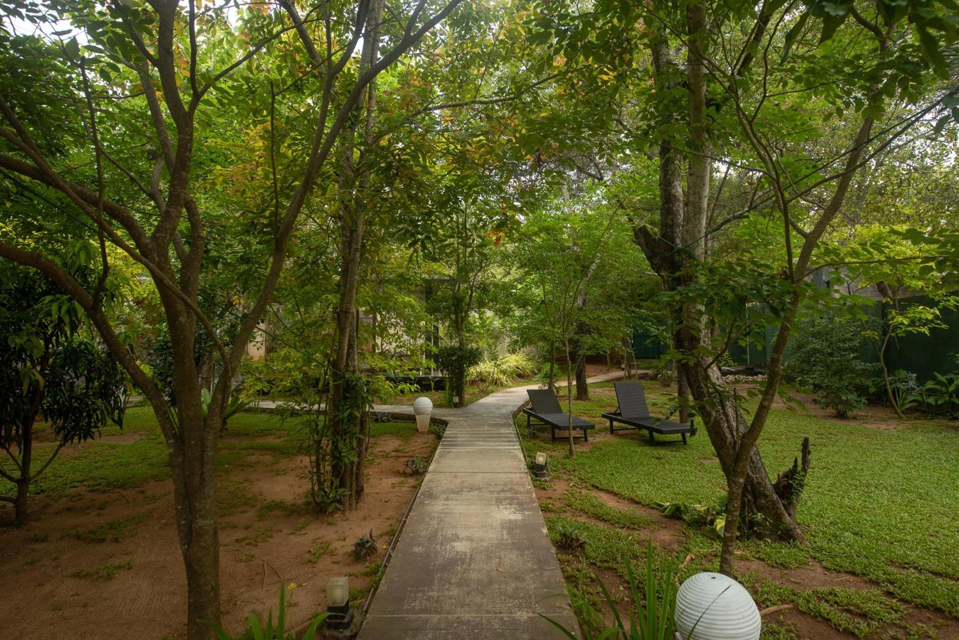 Atha Resort Sigiriya Exteriör bild