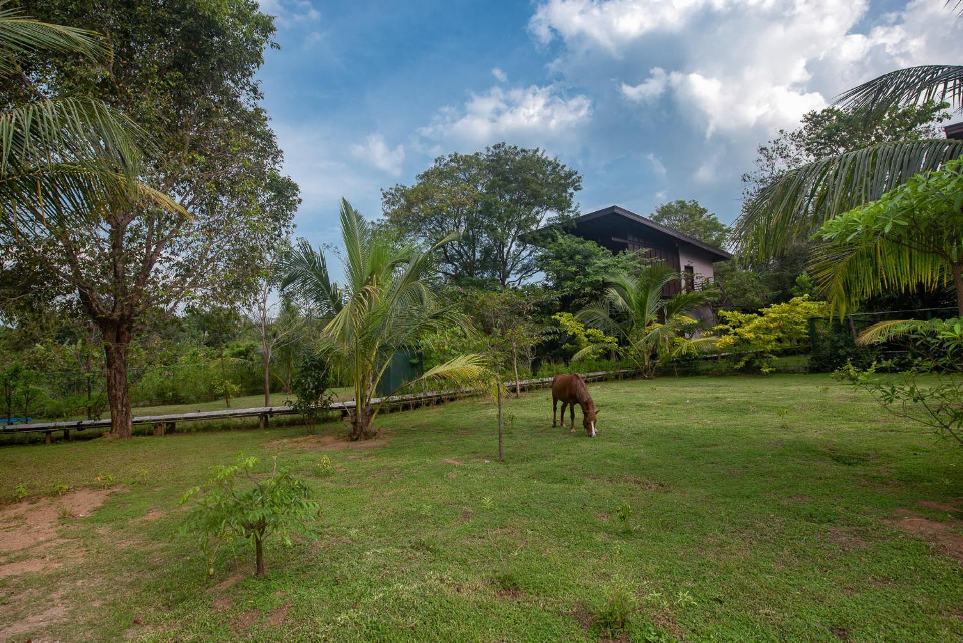 Atha Resort Sigiriya Exteriör bild