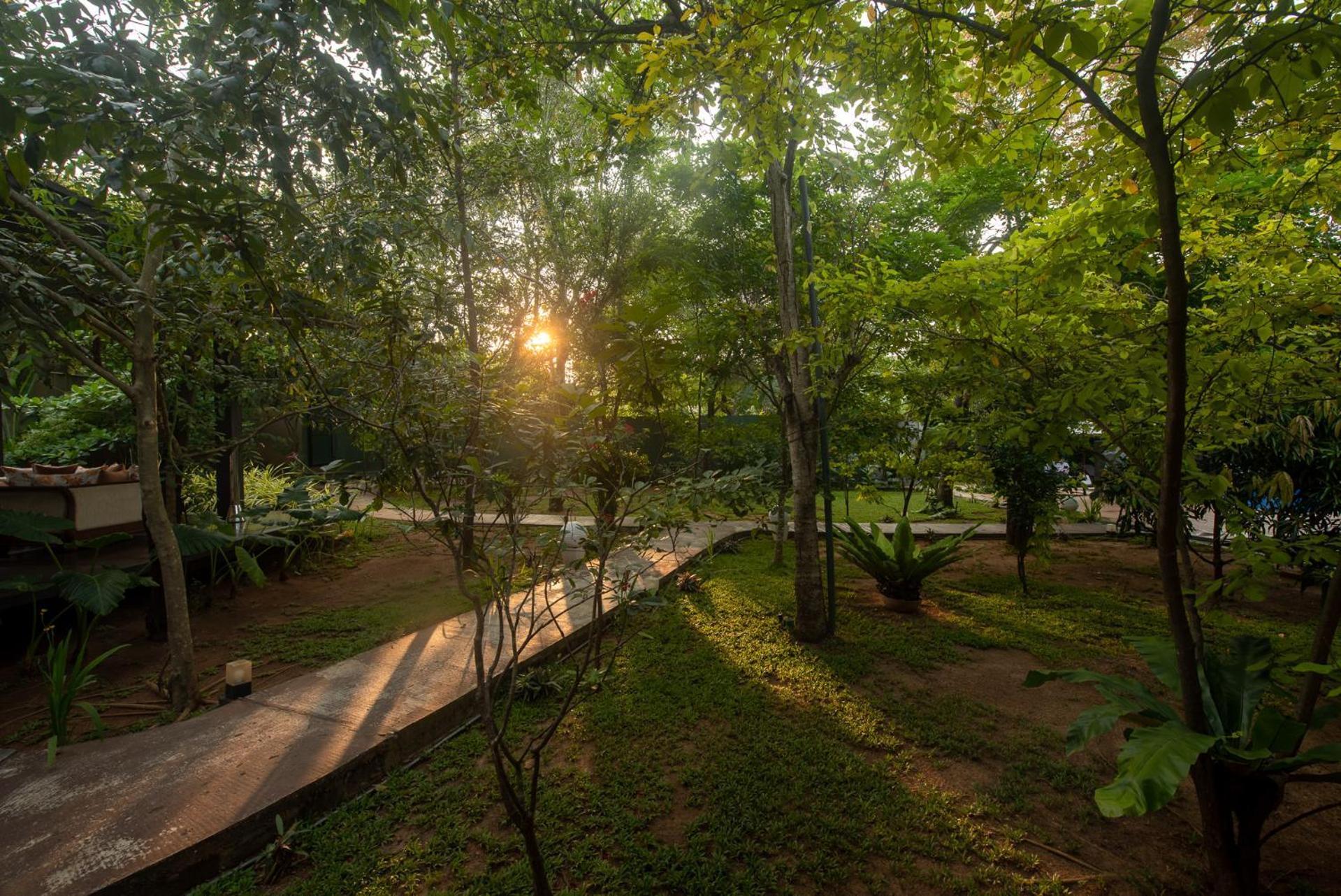 Atha Resort Sigiriya Exteriör bild